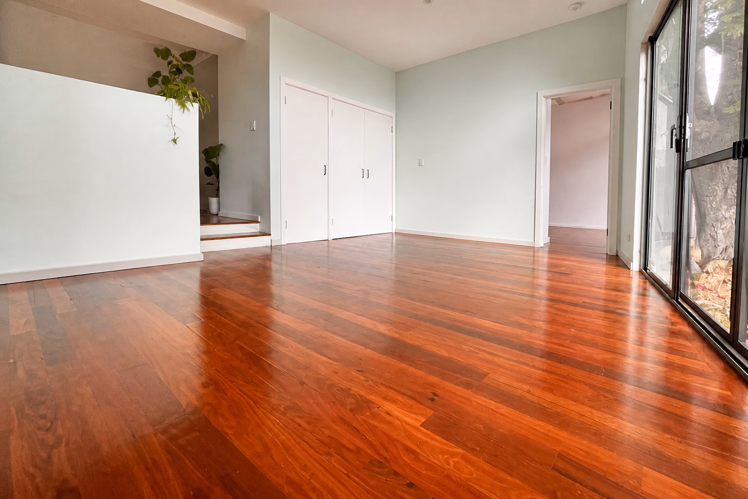 A polished hardwood floor beside black-framed sliding doors